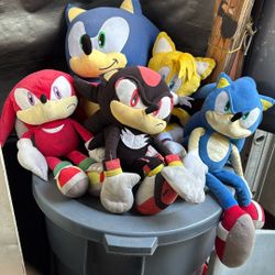 Sonics hedgehogs 