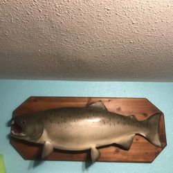 Coho Salmon Replica Of An Actual Caught Coho