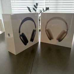 Apple Headphones 