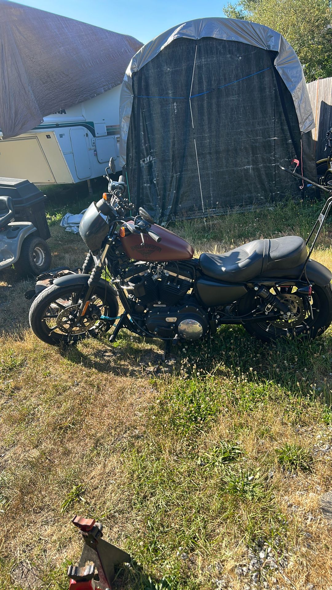 2017 Harley Davidson 883 iron head
