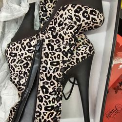 Pleaser Heels