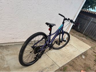 Mountain bike