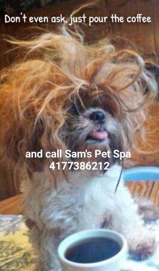 Now Booking Appointments