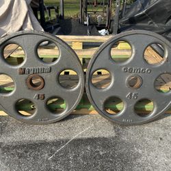 Set Of Magnum Steel 45 Lbs Weight Plates