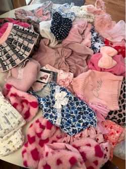 Female small dog clothes !