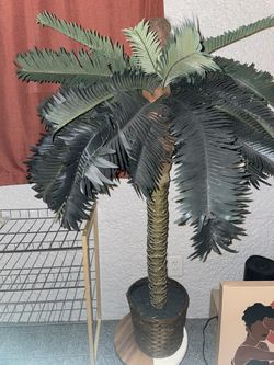 Plant