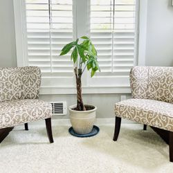 Accent Chairs by Madison Park