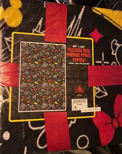 Disney parks blanket