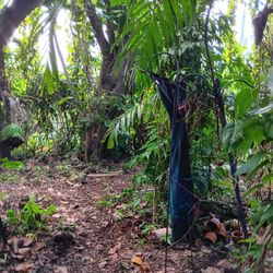  Dual Sided --- Día de Muertos , Day Of The Dead Hanging Faces Tribute