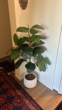 Artificial ￼ Plant in White Ceramic Pot