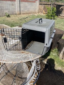 Kennel