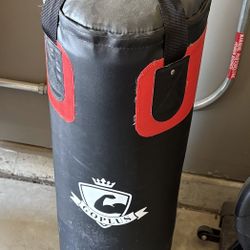 Punching Bag 