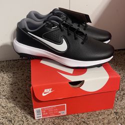Nike Victory Pro 3 Golf Shoes Black Smoke Gray DV6800-010 Men’s Size 10.5 NEW 