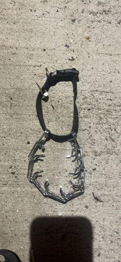 Prong Dog Collar/Collar De Perro Con Puntas