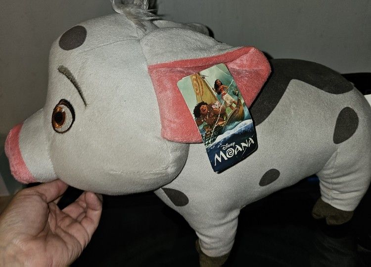 Pig From MOANA