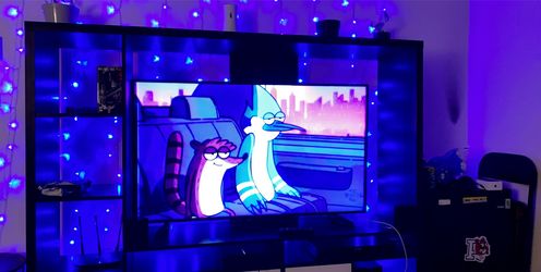 Samsung tv 55 inches with Samsung speakers