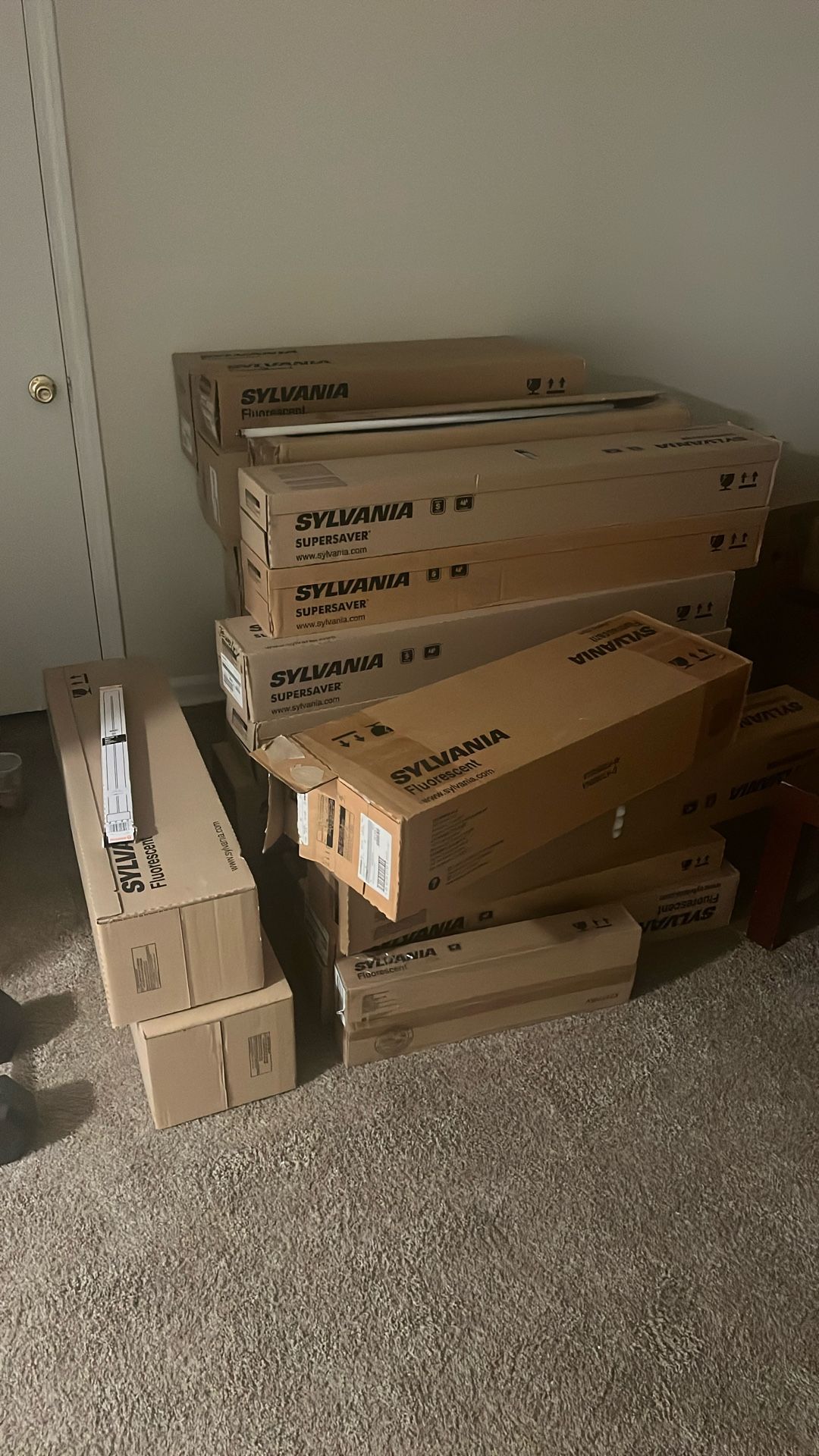 Fluorescent Light Bulbs – Sylvania – $20 Box (30 Bulbs)