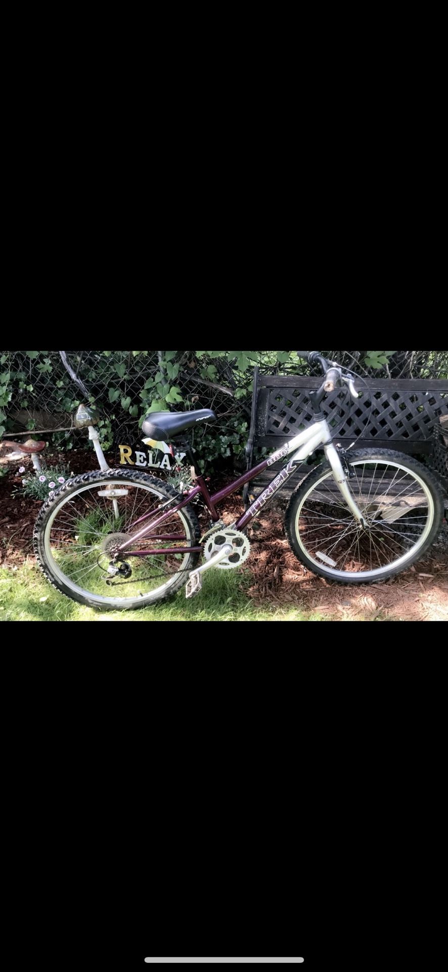 Trek Bike