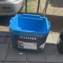 IGLOO COOLER 