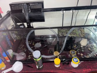 20 gallon tank