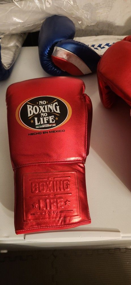 12 Oz Boxing Gloves With FREE Hand Wraps