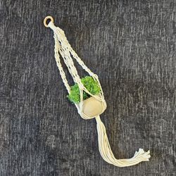 Macrame Plant Holder With Plant 30"x4.5"