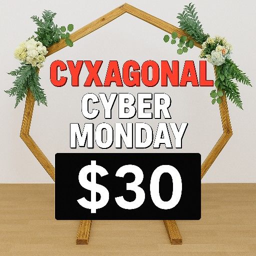 Ciber Monday Especila Only Today