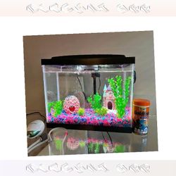 ready may Ready Aquarium Setup - Explore Amazing Water Life