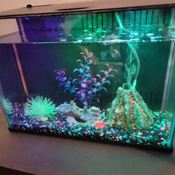 Glow In Dark Full Aquarium Setup With Everything 