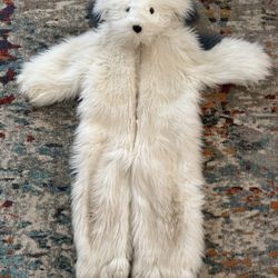 Amazing Dog Costume 
