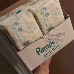 Travel Baby Wipes