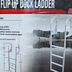 Pool/dock Ladder