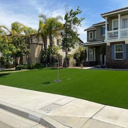 Artificial Grass/Turf