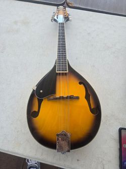 Mandolin musical instrument