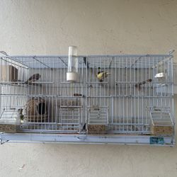 Bird Cage - Jaula Para Canarios 