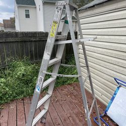6FT Ladder