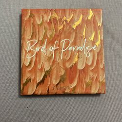 Bird Of Paradise Palette
