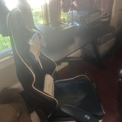 Gamer Chair And Desk 