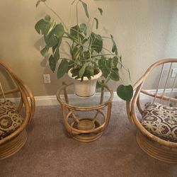 3 Piece Bamboo Chair Set 