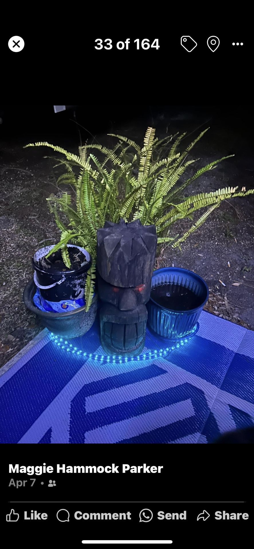 Plant Bundle Flower Pots With Snake Plants Also Plant Shelf  Decor Ect 