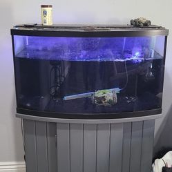 Fish Tank