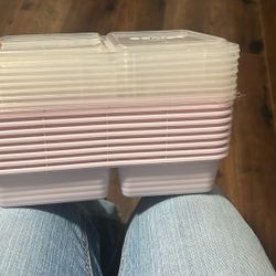 Meal Prep Containers (purple )