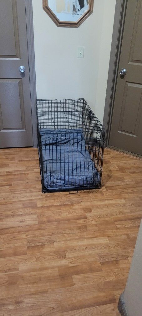 Dog Kennel