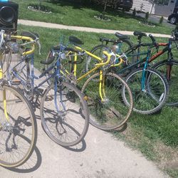 Bicycles All Different Size And Different Prices You're Interested In One Just Let Me Know Please Thank You