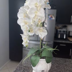 Faux Orchid Plant