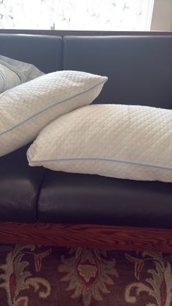 Free queen size bed pillows