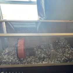 Hamster 🐹 Cage….casita para Hamster 🐹 