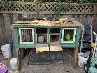 Pigeon loft/ rabbit hutch