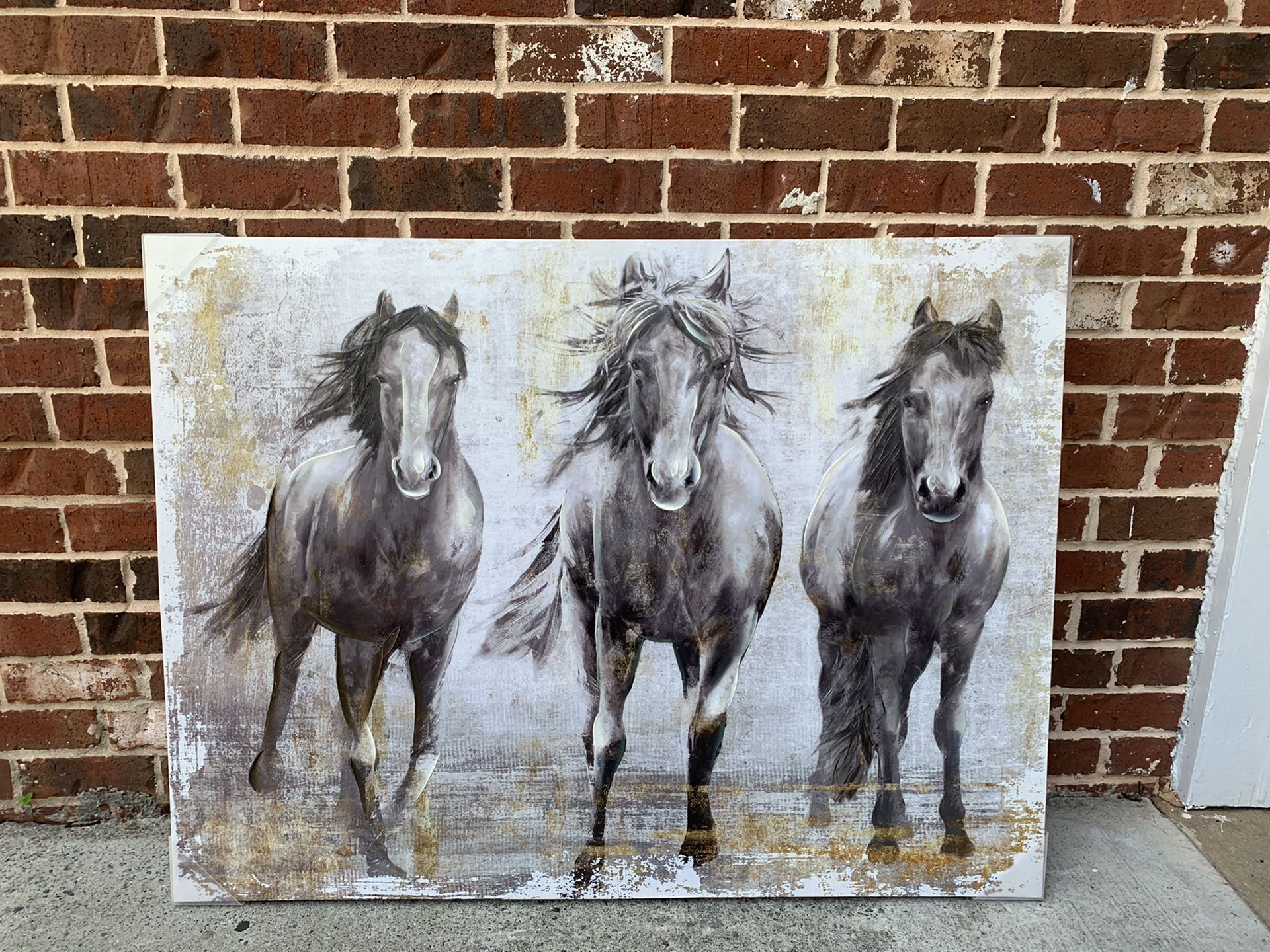 Horse Canvas