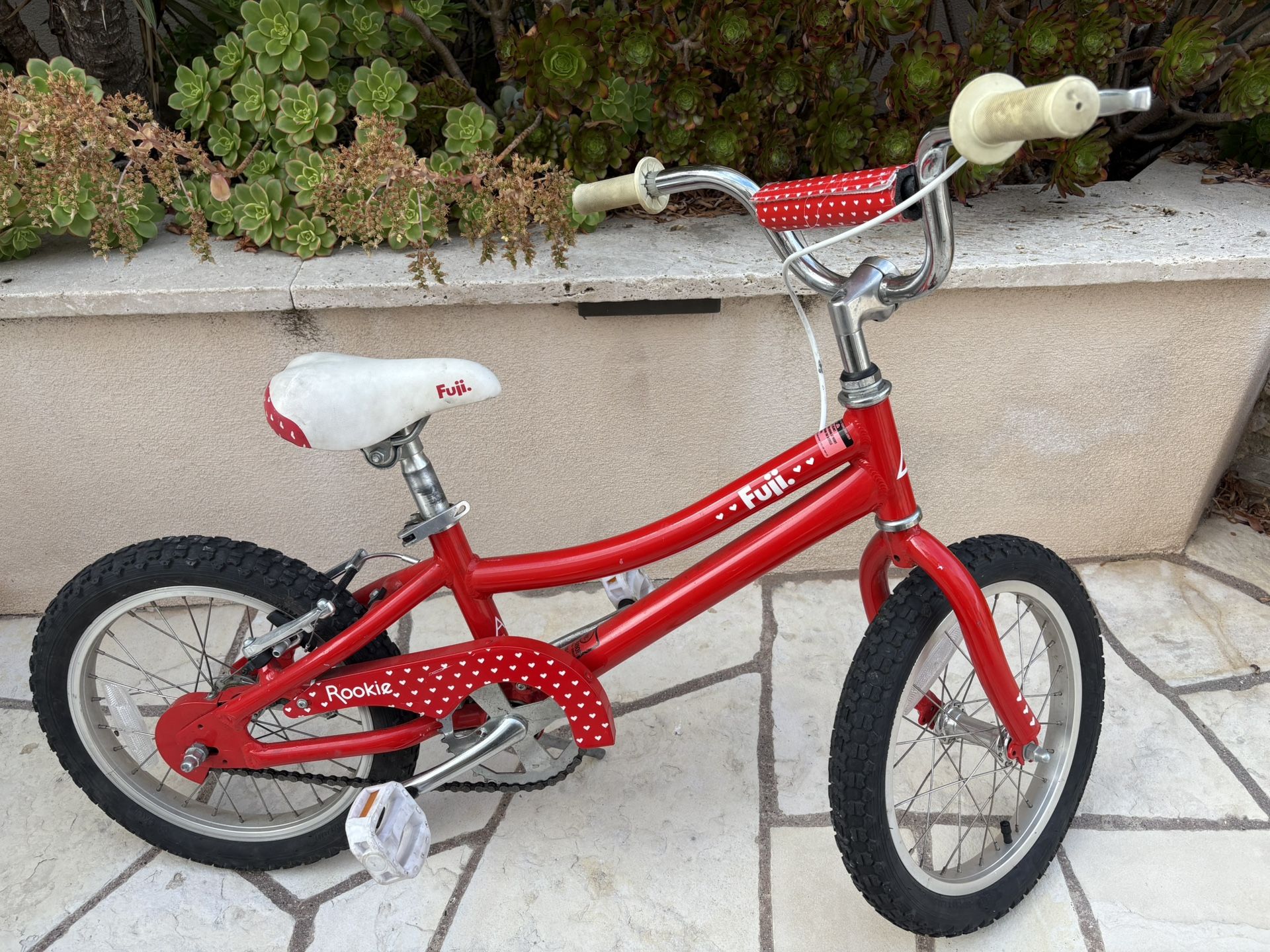Kids Fuji Bike
